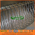 Galvanized Razor Barbed Wire (Single coil)